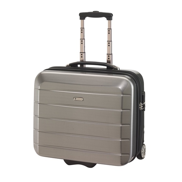Check-In Cabin Case 