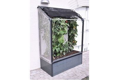 Tomatenhaus Grow Camp