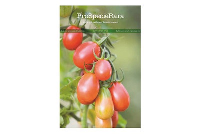 Bio PSR Postkarte Tomate Baselbieter Röteli