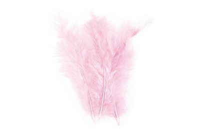 Flauschfeder