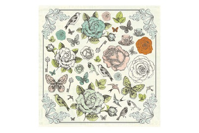 Scrapbookingpapier Clove 30.5x30.5 cm 150 g/m2