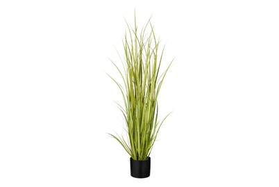 Zwiebelgras IN Topf Gruen H120Xd45Cm