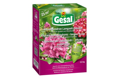 GESAL Rhododendron Langzeitdünger