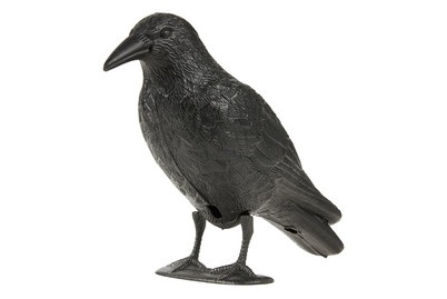 Swissinno raven Taubenabwehr-Rabe Abschreckung 1 St.