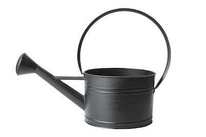 Zink Giesskanne 4L