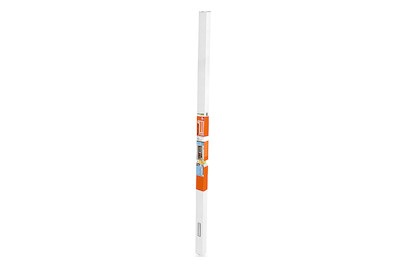 WINDHAGER Fliegengitter Rollo Tür PLUS