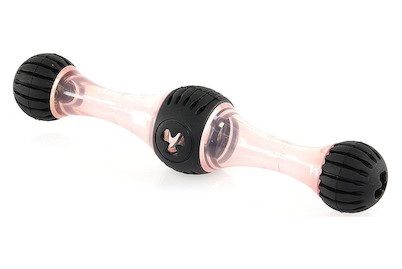 SwissPet Hundespielzeug Squezze Bone L Hunde Spielzeug