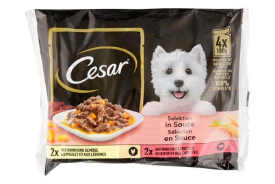 Cesar Hundefutter Selektion in Sauce 4x100g