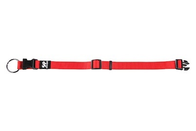 TrendLine ONE Halsband 10/200-300mm rot
