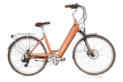 Allegro E-Bike Invisible City Acil°02 28, camel