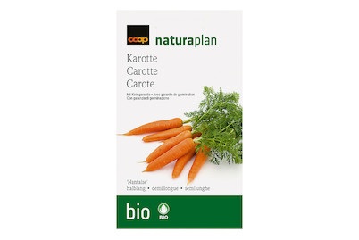 Bio Karotte 'Nantaise' halblang