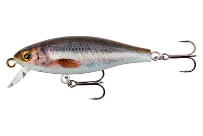 Stucki Fanatics Shorty 5cm