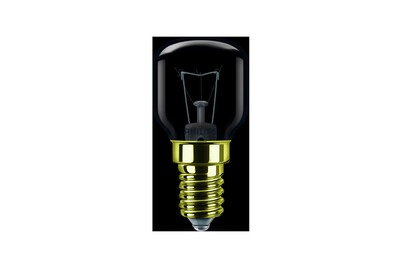 Philips Backofenlam-pe T29 40W E14 / G