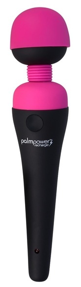 PalmPower Recharge