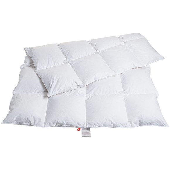 duvetsuisse.com Daunenduvet Warm Goose Premium