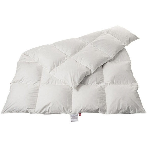 duvetsuisse.com Daunenduvet Warm Duck Basic