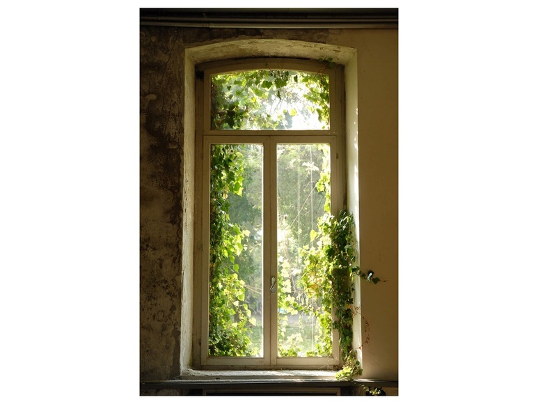 Fenster mit Laub 2