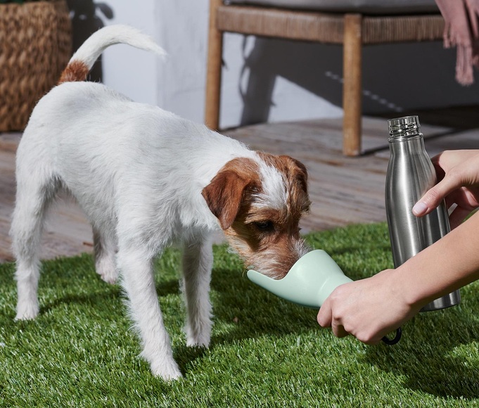 Hunde-Trinkflasche mit integrierter Trinkschale