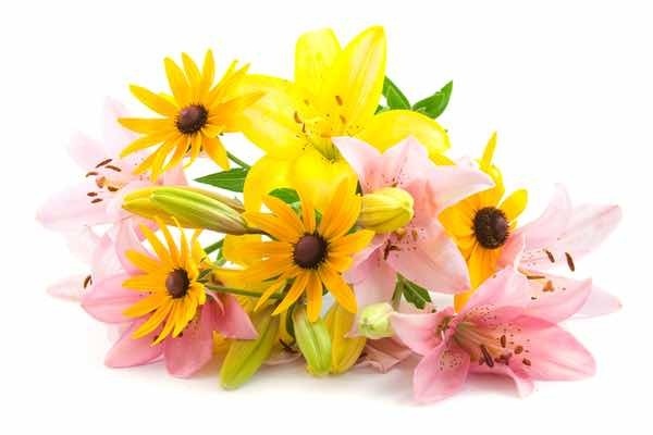 Blumen-Onlineshops Blumenversanddienste Test