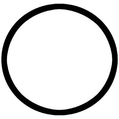 FIAP 2770-7 Ersatztülle O-Ring (Ø) 55 mm 1 St.