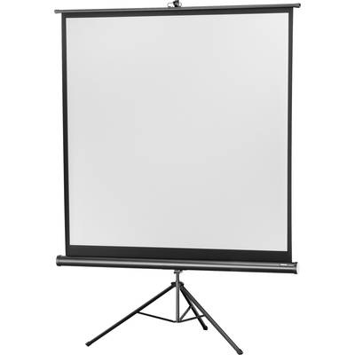 Celexon Eco Stativ 1:1 (219x219cm) Stativleinwand