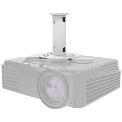NewStar Beamer-C80 - Weiss Deckenhalterung