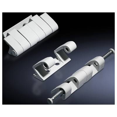 Rittal TS8 8800.710 Scharnier Zinkdruckguss Lichtgrau (RAL 7035) 4 St.