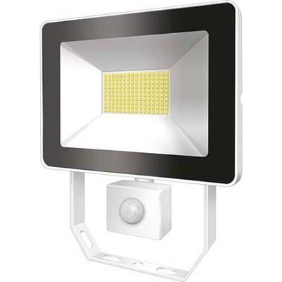 ESYLUX AFLBASICLED30W 3K WH LED-Außenstrahler LED 30 W EEK: LED (A++ - E) Weiß