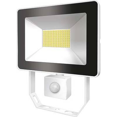 ESYLUX AFLBASICLED30W 4K WH LED-Außenstrahler LED 30 W EEK: LED (A++ - E) Weiß
