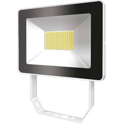 ESYLUX OFLBASICLED30W 4K WH LED-Außenstrahler LED 30 W EEK: LED (A++ - E) Weiß