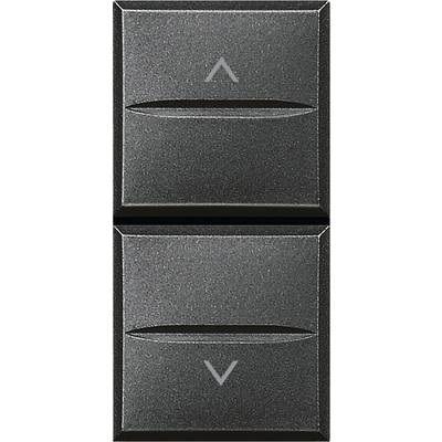 Legrand Jalousie-Schalter/-Taster Axolute Anthrazit HS4037