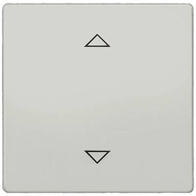 Siemens Jalousie-Taster Delta Aluminium 5TC1321-0AM