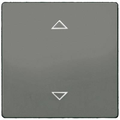 Siemens Jalousie-Taster Delta Carbon 5TC1321-0CM