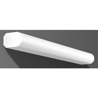 RZB Stableuchte RT44 LED/10W-4000K 600x55x87,EVG Bad-Wandleuchte 10 W