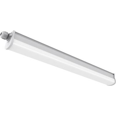 Nordlux Westport 60 Feuchtraumleuchte LED 11 W Neutral-Weiß Grau