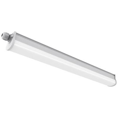 Nordlux Westport 60 Feuchtraumleuchte LED 23 W Neutral-Weiß Grau