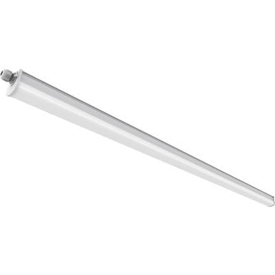 Nordlux Westport 120 Feuchtraumleuchte LED 23 W Neutral-Weiß Grau