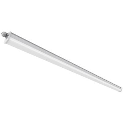 Nordlux Westport 120 Feuchtraumleuchte LED 43 W Neutral-Weiß Grau