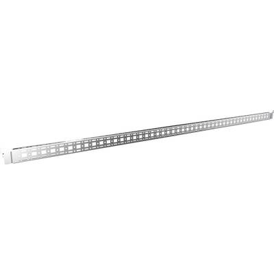 Rittal VX 8619.790 System-Chassis Stahlblech 4 St.