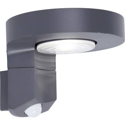 LUTEC Solarlampe Diso schwarz