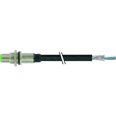 Murr Elektronik 7000-13591-6410200 Sensor-/Aktor-Steckverbinder, unkonfektioniert 2.00 m Polzahl: 4 1 St.
