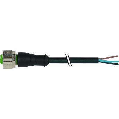 Murr Elektronik 7000-12181-6330100 Sensor-/Aktor-Steckverbinder, unkonfektioniert 1.00 m Polzahl: 3 1 St.