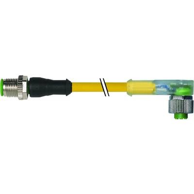 Murr Elektronik 7000-40321-0330300 Sensor-/Aktor-Steckverbinder, konfektioniert 3.00 m 1 St.