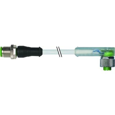 Murr Elektronik 7000-40351-2340250 Sensor-/Aktor-Steckverbinder, konfektioniert 2.50 m 1 St.