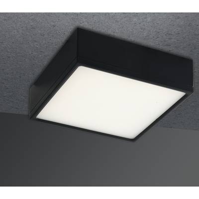 ECO-Light LED-KLIO-Q11 NER LED-KLIO-Q11 NER Deckenleuchte Schwarz 16 W