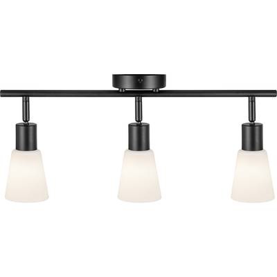 Deckenleuchte Cole aus Glas und Metall, 3-flammig