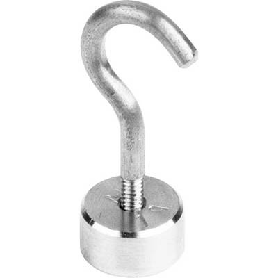 Kern 347-016 Prüfgewicht 347-016, OIML-Klasse M1, Nennwert 1 g, , Edelstahl feingedreht