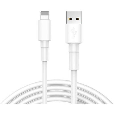 REEKIN [1x USB 2.0 Stecker A - 1x Apple Lightning-Stecker] 1 m Weiß