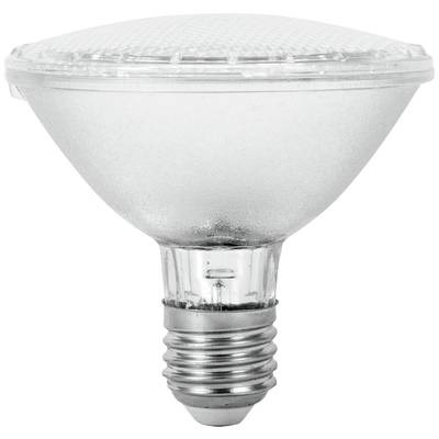 Omnilux 88040510 LED E27 10 W Schwarzlicht (UV) (Ø x L) 95 mm x 92 mm 1 St.