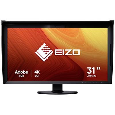 Eizo ColorEdge Cg319X Monitor